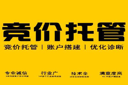 成功SEM专员案例分析